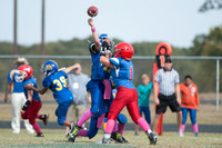 CNP_6347