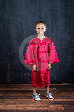 CNP_7381