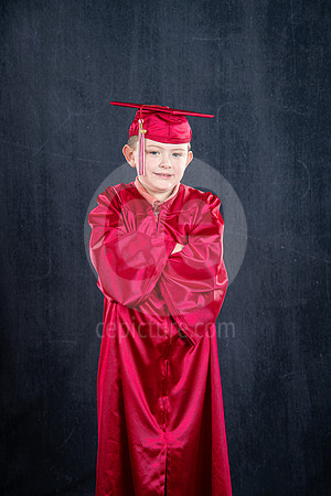 CNP_7736