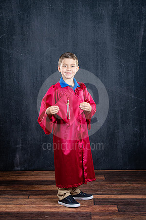 CNP_7485