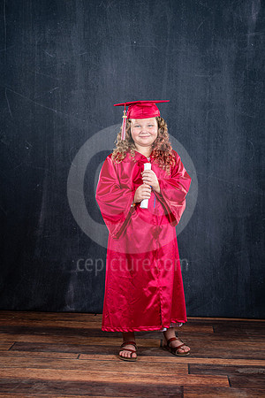 CNP_7781