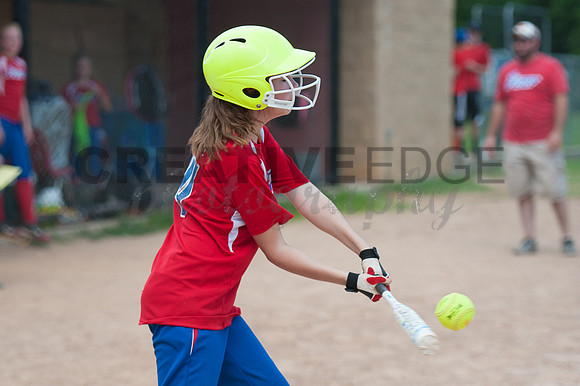 CNP_2959
