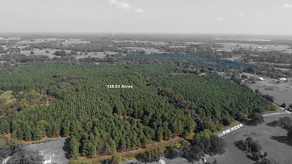 DJI_0005