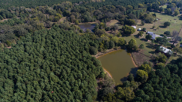 DJI_0013