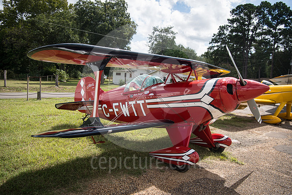 CNP_6981