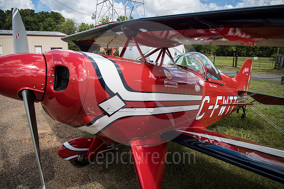 CNP_6982