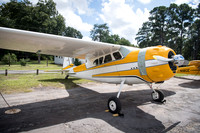 CNP_6987