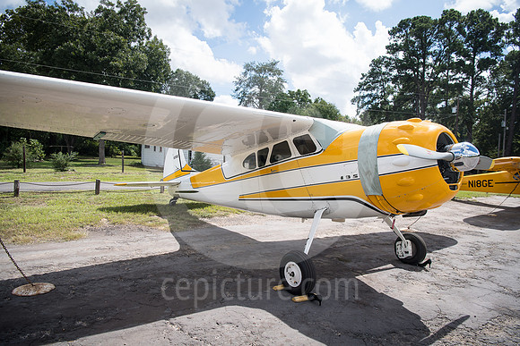 CNP_6987