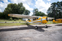 CNP_6988
