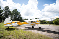 CNP_6992