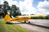 CNP_6993