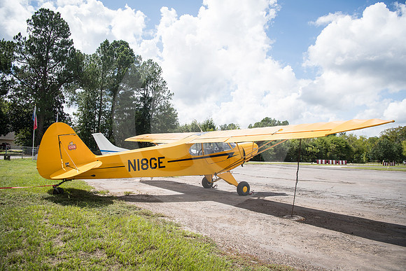 CNP_6993