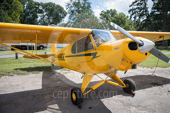 CNP_6994