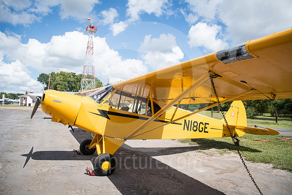 CNP_6996