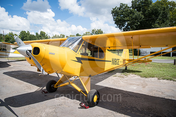 CNP_6995