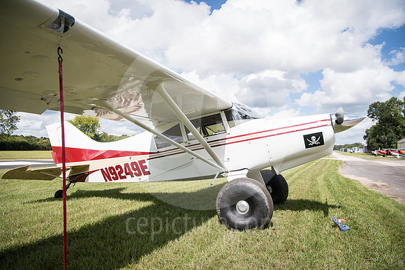 CNP_7007