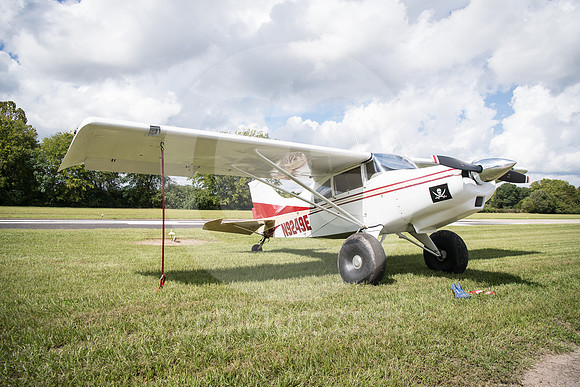 CNP_7008