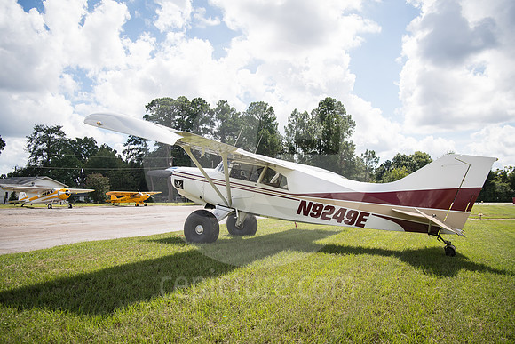 CNP_7009