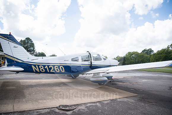 CNP_7018
