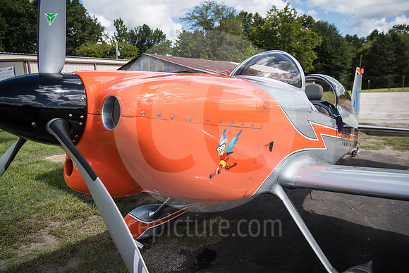 CNP_7026
