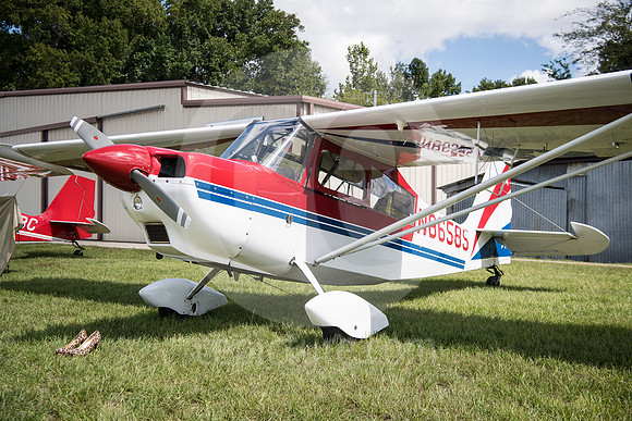 CNP_7027