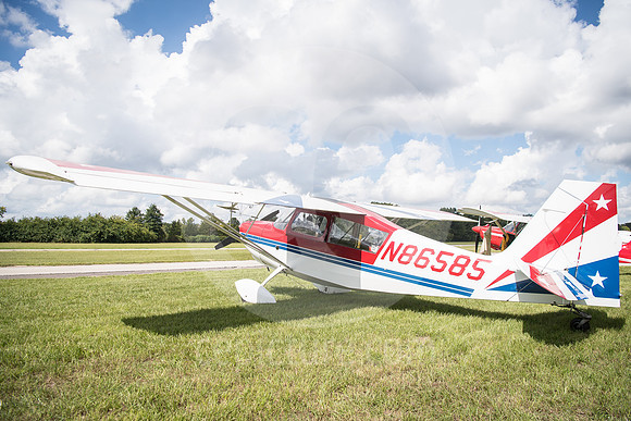 CNP_7029