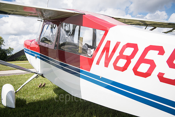 CNP_7030