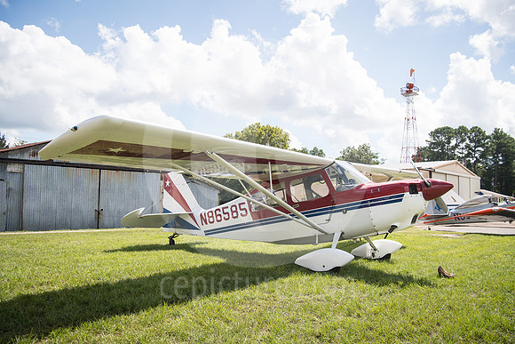 CNP_7034