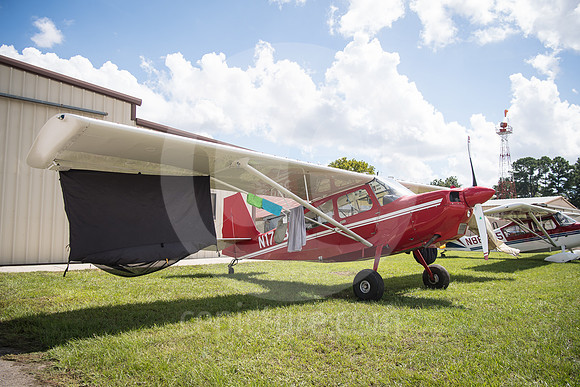 CNP_7036