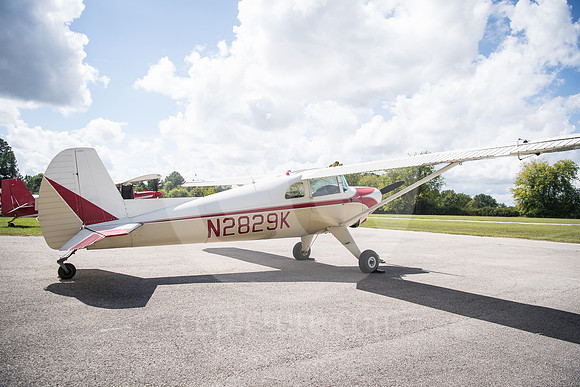 CNP_7039