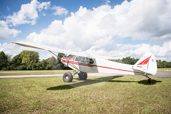 CNP_7043