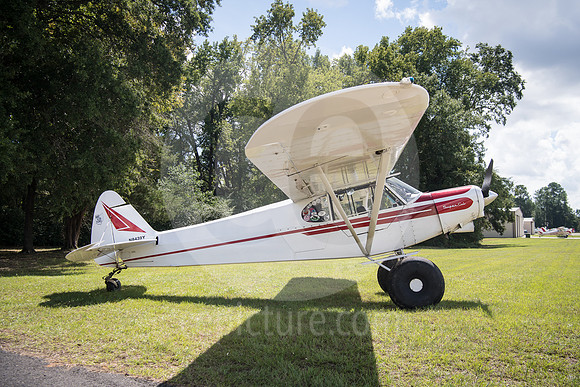 CNP_7044