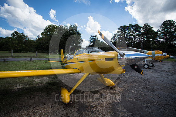 CNP_7048