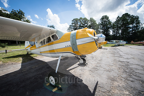 CNP_7050