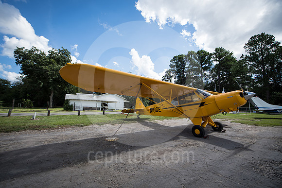 CNP_7051