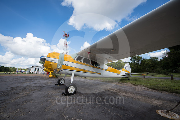 CNP_7052