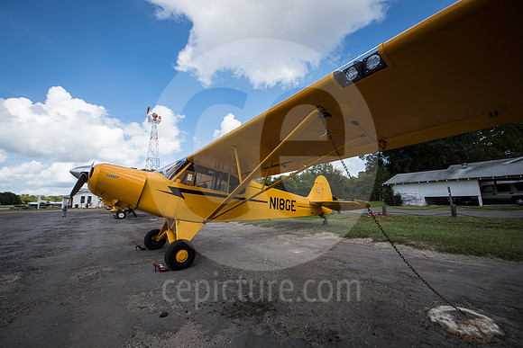CNP_7053