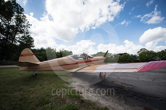 CNP_7056