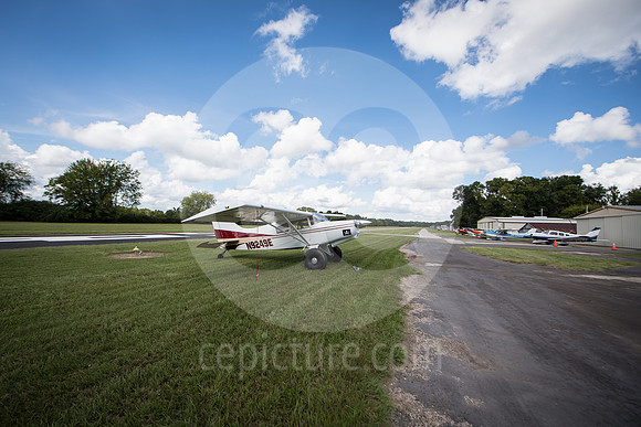 CNP_7060