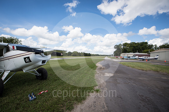 CNP_7061