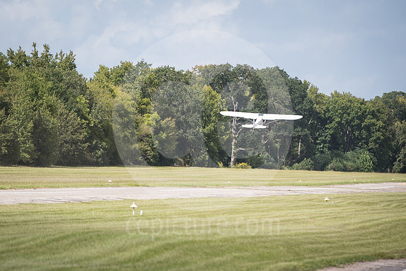 CNP_7062
