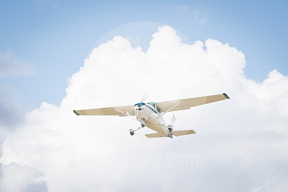 CNP_7107