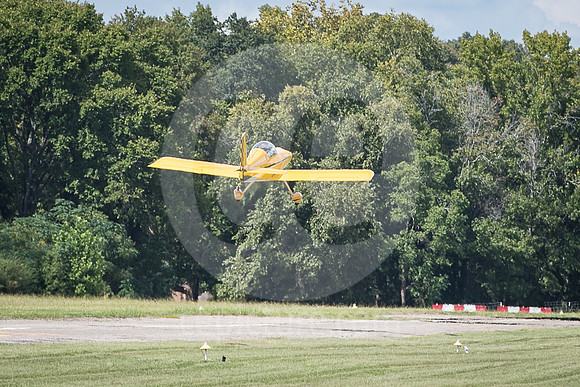 CNP_7133