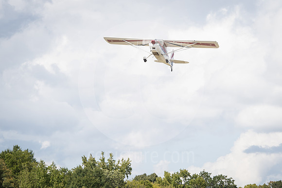 CNP_7136