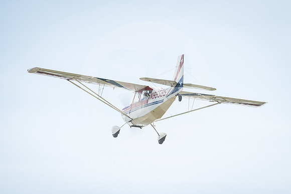 CNP_7142