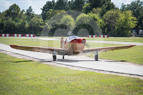 CNP_7144
