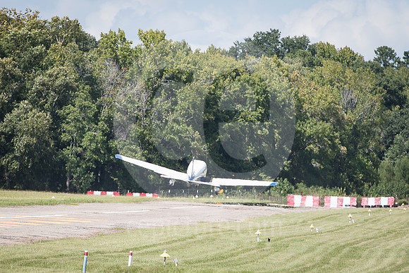 CNP_7166