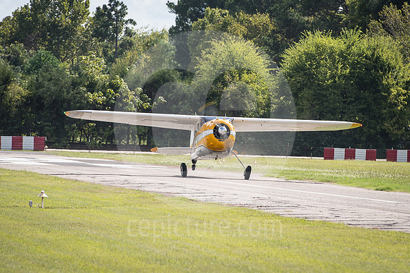 CNP_7206