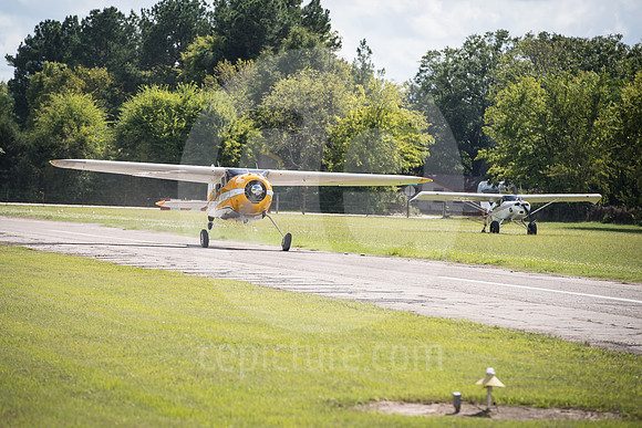CNP_7208