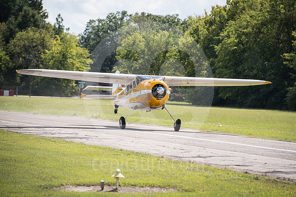 CNP_7210
